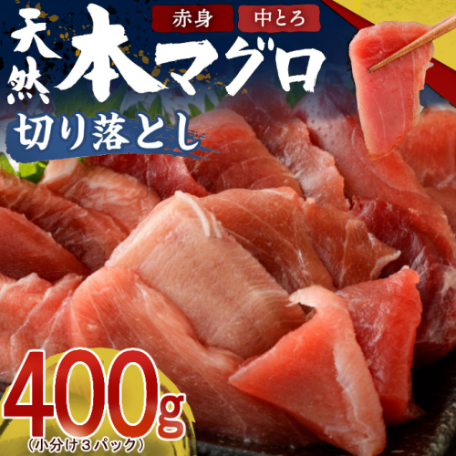 【遠洋漁船高豊丸漁獲】天然本マグロ（赤身・中とろ）切落し４００ｇ _ 冷凍 お手軽 切り落とし 中トロ 赤身 セット 高知 室戸 85445 - 高知県室戸市