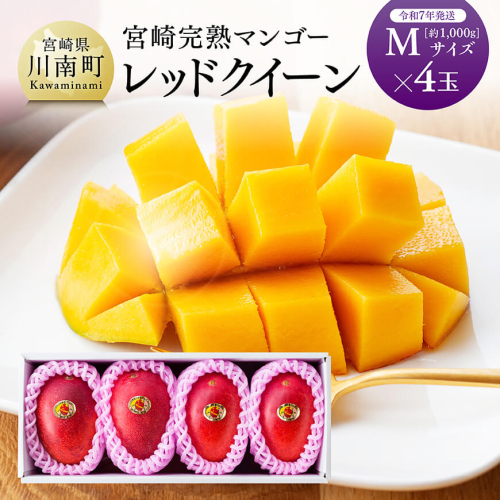 【令和7年発送】宮崎県産完熟マンゴー 「レッドクイーン」M×4玉 【 果物 フルーツ マンゴー 宮崎県産 完熟マンゴー みやざきマンゴー 先行予約 数量限定 期間限定 】 86122 - 宮崎県川南町
