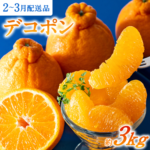 AA075.【昨年も大人気】デコポン（約３ｋｇ程度）☆２０２６年配送分予約受付中☆ 8622 - 福岡県新宮町