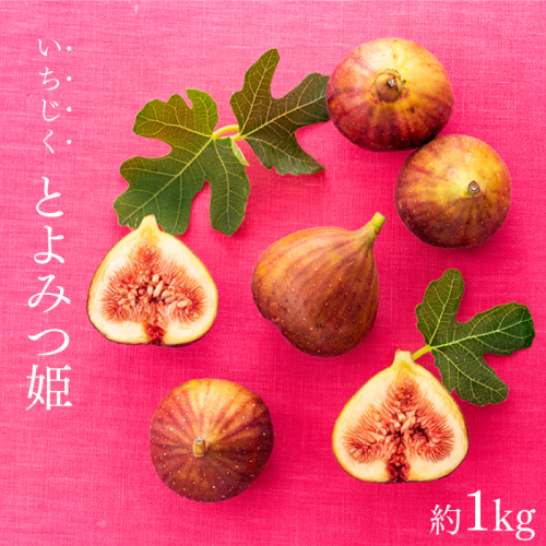 A1361.九州・福岡フルーツ王国より直送.いちじく（とよみつ姫）約1kg／2025年8月～9月配送【とよみつひめ】 8648 - 福岡県新宮町
