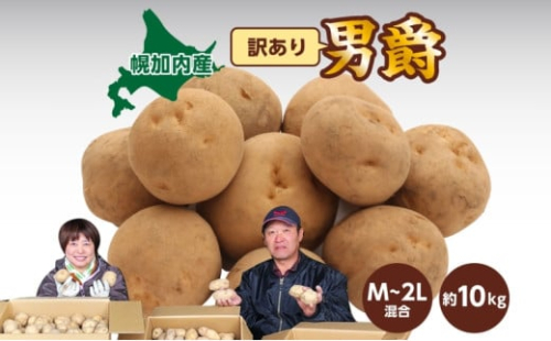 [№5795-0371]北海道産 訳あり じゃがいも 男爵 M～2L 約10kg ジャガイモ 馬鈴薯 ポテト キタアカリ 芋 いも イモ 旬 冬 農作物 訳アリ 規格外 家庭用 北海道 お取り寄せ 産地直送 笠井ファーム 送料無料 幌加内