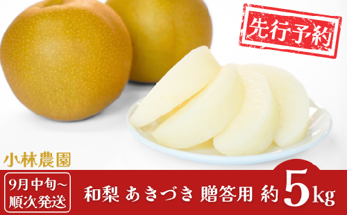 先行予約 和梨 あきづき 約5kg [9月中旬から発送予定] 令和7年度 新潟県三条市産 梨 [小林農園]【012P045】