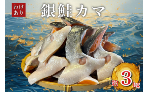 ＜訳あり＞人気海鮮お礼品 銀鮭カマ 約3kg_ 鮭 さけ サケ シャケ 銀鮭 カマ 養殖 訳あり 規格外 不揃い 切身 魚 お弁当 おかず 冷凍 人気 海鮮 サーモン おすすめ チリ産 魚介類 家庭用 3kg おつまみ 【1389618】