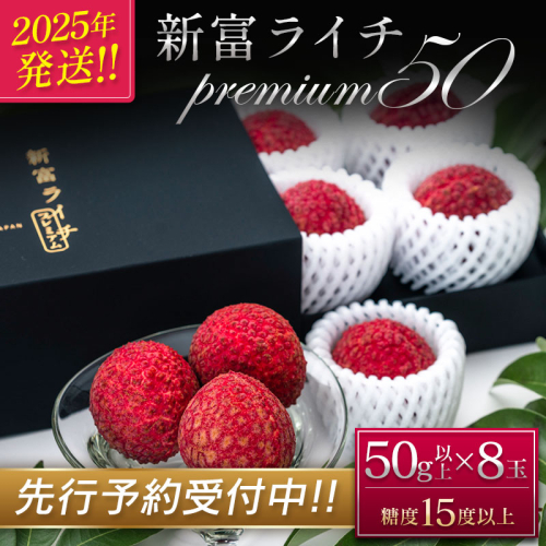 ［2026年発送］先行予約 希少！国産＜新富ライチpremium50＞50g以上×8玉 国産 ブランド フルーツ 果物 贈答品【C52-26】 87085 - 宮崎県新富町