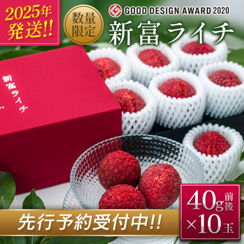 ［2026年発送］先行予約 希少！国産＜新富ライチ＞40g前後×10玉 国産 ブランド フルーツ 果物 贈答品【B120-26】 87086 - 宮崎県新富町