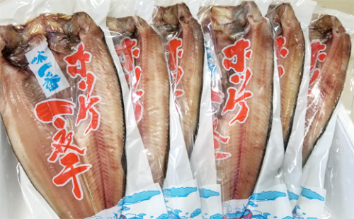 13-105 真ほっけ一夜干し6枚セット 87311 - 北海道紋別市