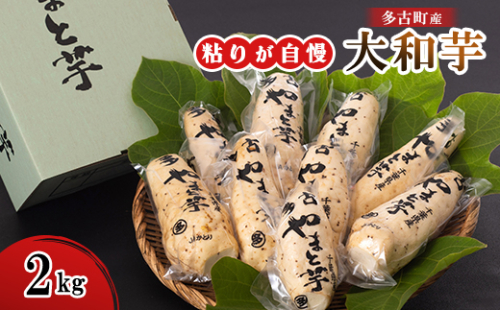 大和芋2kg(B棒)【1402610】