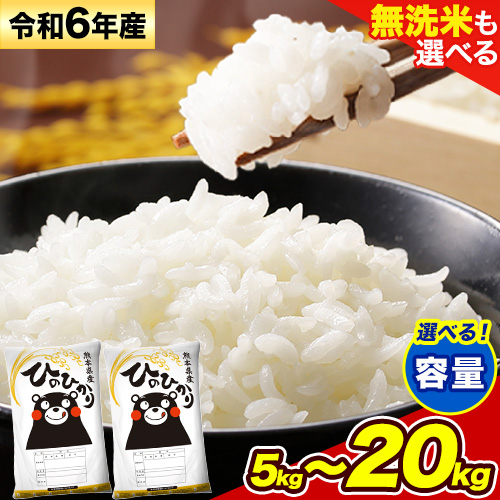 無洗米 も選べる ひのひかり 5kg 10kg 15kg 20kg 令和6年産《7-14日以内に出荷予定(土日祝除く)》熊本県産 ふるさと納税 無洗米 白米 精米 ひの 米 こめ ふるさとのうぜい ヒノヒカリ コメ お米 おこめ 876382 - 熊本県御船町