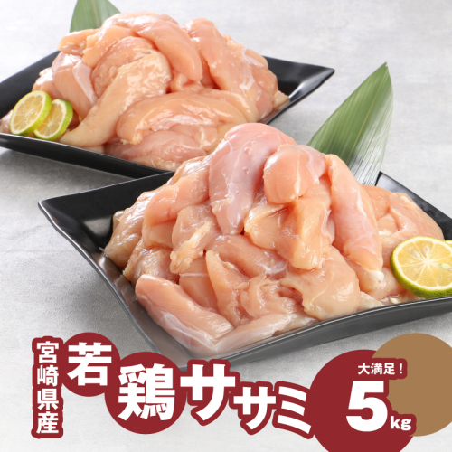 ＜宮崎県産若鶏ささみ　1kg×5パック＞ K16_0045_2 87714 - 宮崎県木城町