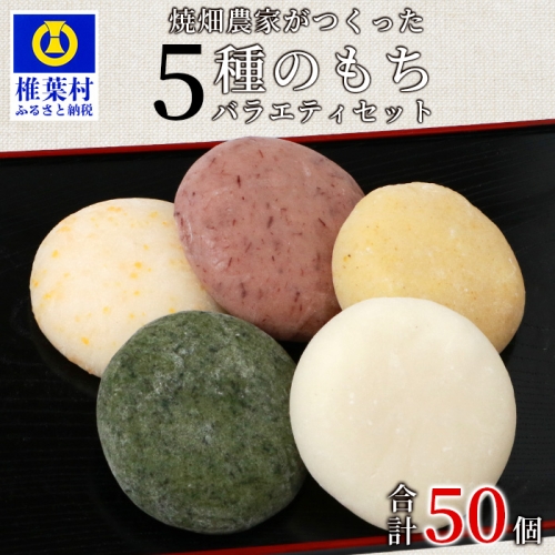 焼畑農家がつくった5種のお餅バラエティセットA(白もち よもぎもち とうきびもち あずきもち あわもち)【日本三大秘境の地「椎葉村」からお届け】 877930 - 宮崎県椎葉村