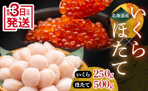 ★レビューキャンペーン実施中！★ 通常発送 笹谷商店 いくら醤油漬け250g＆ほたて貝柱500g  決済から7日前後で発送 F7F-0003