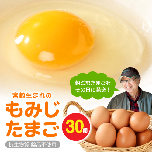 延岡産もみじ玉子30個 N033-YA0140 879260 - 宮崎県延岡市