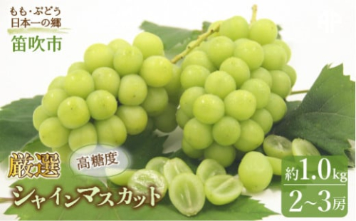 ＜25年発送＞笛吹市産　 厳選! シャインマスカット 2～3房 約1.0kg 205-004