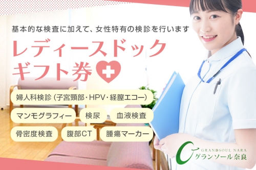 レディースドック ／ グランソール奈良 人間ドック 検診 婦人科検診 検査 奈良県 宇陀市 グランソール奈良 結婚記念日 父の日 母の日 敬老の日 勤労感謝の日 ギフト プレゼント 881929 - 奈良県宇陀市