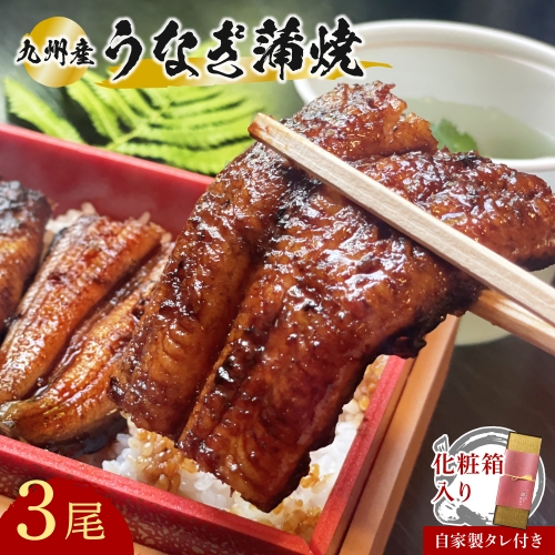 H-02 志おや 九州産 うなぎ 蒲焼 3本 タレ 付 884279 - 大分県豊後高田市