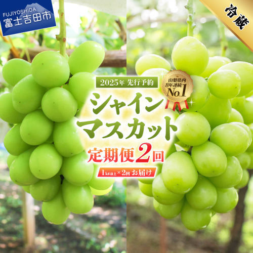 【2025年発送】【2回定期便】ジューシーで甘さ抜群 厳選シャインマスカット1kg以上×2回配送 884414 - 山梨県富士吉田市