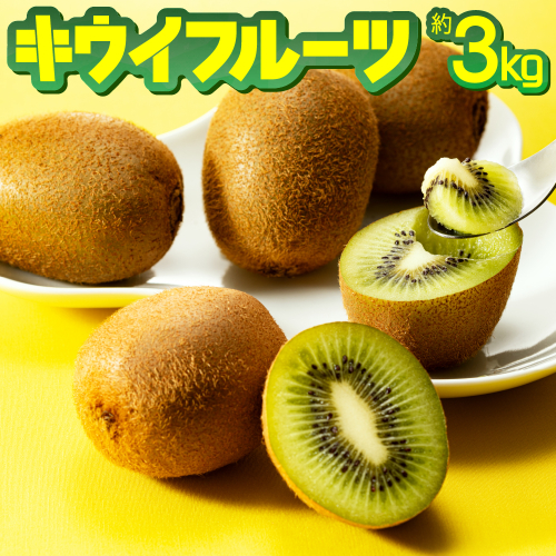 【予約受付】AB128.キウイフルーツ(グリーン)3kg程度／2026年1月～2月配送予定
 88495 - 福岡県新宮町