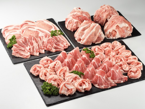 宮崎県産 綾ポーク バラエティ 3.6kgセット（500g×8パック） 国産 綾町産 綾豚 綾ポーク 豚肉 ポーク 肩ロース 生姜焼き ロース とんかつ 焼肉 切り落とし 豚バラ しゃぶしゃぶ 小分け 家庭用 送料無料 88550 - 宮崎県綾町
