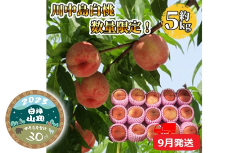 【9月配送】桃(川中島白桃)約5kg【青森県津軽産】 果物 フルーツ デザート 食後 おやつ 国産 深い甘味 日持ちが良い 青森県産 国産フルーツ 国産果物 885519 - 青森県西目屋村