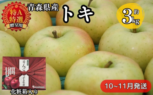 【青森県産りんご】化粧箱入り贈答用トキ 約3kg 果物 フルーツ デザート 食後 おやつ 国産 強い甘味 やさしい酸味 果汁豊富 シャキシャキ 青森りんご 885520 - 青森県西目屋村