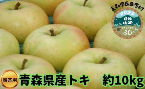 【青森県産りんご】贈答用トキ 約10kg 果物 フルーツ デザート 食後 おやつ 国産 強い甘味 やさしい酸味 果汁豊富 シャキシャキ 青森りんご 885521 - 青森県西目屋村