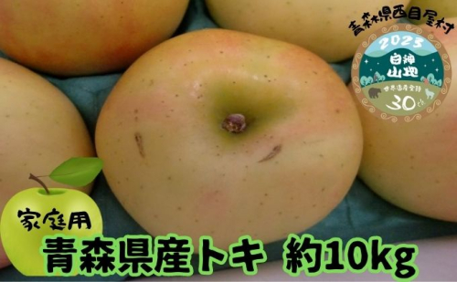 【青森県産りんご】家庭用トキ 約10kg 果物 フルーツ デザート 食後 おやつ 国産 強い甘味 やさしい酸味 果汁豊富 シャキシャキ 青森りんご 885522 - 青森県西目屋村