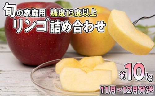 【25年11月～発送】りんご 家庭用 旬のリンゴ詰め合わせ 約10kg 糖度13度以上
