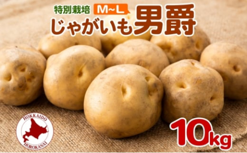 [№5795-0374]＜2025年秋以降出荷＞ 北海道 じゃがいも 男爵 M～L 約10kg 特別栽培 ジャガイモ 馬鈴薯 だんしゃく 芋 いも イモ ポテト 野菜 根菜 農作物 国産 甘い 冬野菜 お取り寄せ 産地直送 北海道産 送料無料
