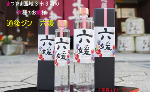 水口酒造 道後ジン「六媛」200ml　クラフトジン スピリッツ 愛媛 お酒 晩酌 家飲み 宅飲み 愛媛県産素材 ボタニカル フレッシュ 華やかな香り 香ばしい香り キレ のかな甘み  894345 - 愛媛県東温市