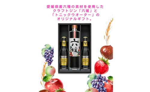 道後ジン 六媛・トニックセット（G6-500） お酒 晩酌 家飲み 宅飲み 愛媛県産素材 ボタニカル 華やかな香り 香ばしい香り キレ のかな甘み トニックウォーター  894347 - 愛媛県東温市