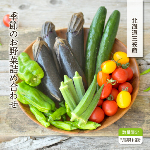《令和7年分》数量限定！季節のお野菜詰め合わせ 夏(配送時期：7月～8月)【01017】 894538 - 北海道三笠市