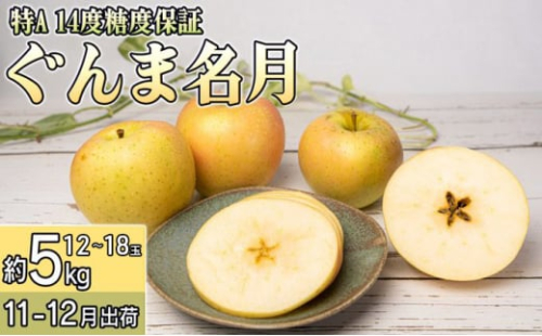 11月 特A ぐんま名月約5kg（12～18個）14度糖度保証【青森りんご・ゆうきアップル・11月】 果物類 フルーツ 果物 