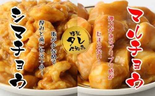 BN021　【みやき町坂本ストア社長厳選】味付けホルモン1kg　味付けマルチョウ（250ｇｘ2ｐ）・味付けシマチョウセット（250ｘ2Ｐ） 89681 - 佐賀県みやき町