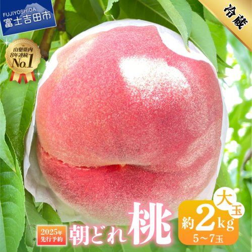 【2025年先行予約】山梨の朝どれ桃2Kg　大玉5玉～7玉 897012 - 山梨県富士吉田市