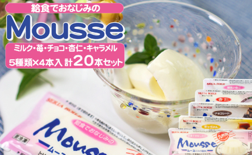 ムース 給食でおなじみのムース 5種類20本セット お菓子 スイーツ おやつ デザート 食後 食後のデザート 甘いもの イベント 屋台 食材 アイス 学園祭 文化祭 業務用 家庭用 国産 食べ物  897443 - 福岡県朝倉市