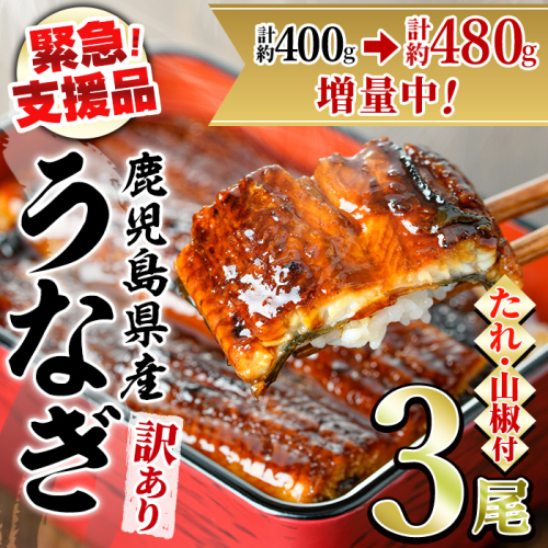 【0154316a】【緊急支援品】＜訳あり・数量限定＞鰻の蒲焼き(無頭)(3尾・計約480g・タレ、山椒付) うなぎ ウナギ 鰻 国産 蒲焼 蒲焼き たれ 鹿児島 ふるさと 人気 支援【アクアおおすみ】 897921 - 鹿児島県東串良町