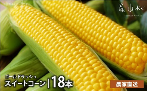 《先行受付開始》産地直送 とうもろこし 朝採れ スイートコーン ゴールドラッシュ 15本セット 特大 熊本 阿蘇 産山村トウモロコシ ギフト 今が旬 コーン 旬 お取り寄せ 人気 大人気 贈答《2026年7月中旬-8月中旬出荷》