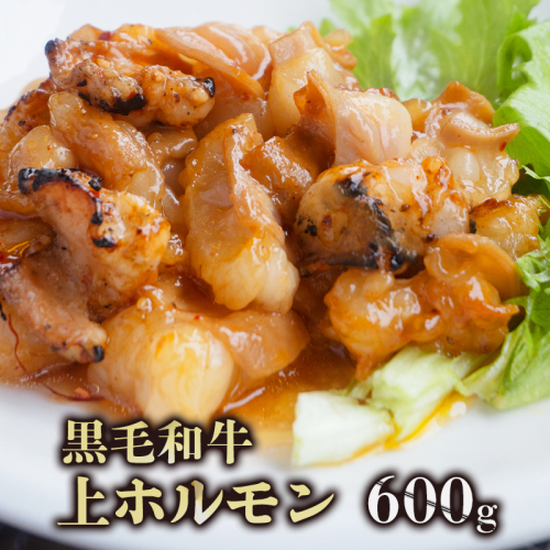 黒毛和牛 ホルモン 600g 旨辛タレ トロホルモン 上ホルモン 国産ホルモン 牛肉 焼き肉 BBQ バーベキュー 味付け肉 熨斗 ギフト プレゼント 贈答 お歳暮 御歳暮 御中元 お中元 夏ギフト お祝い 89976 - 京都府舞鶴市
