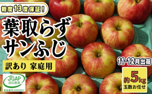 11～12月発送【 糖度保証 】家庭用 葉取らず サンふじ 約 5kg【 訳あり 】鶴翔りんごGAP部会 青森県産 津軽産 リンゴ 林檎 果物 フルーツ デザート 甘味 酸味 食感  904798 - 青森県鶴田町