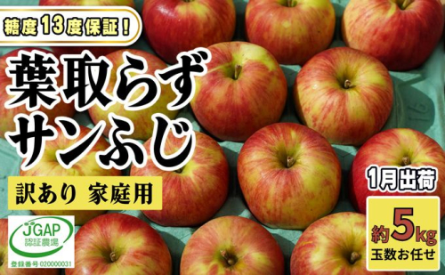 1月発送【 糖度保証 】家庭用 葉取らず サンふじ 約 5kg【 訳あり 】鶴翔りんごGAP部会 青森県産 津軽産 リンゴ 林檎 果物 フルーツ デザート 甘味 904800 - 青森県鶴田町