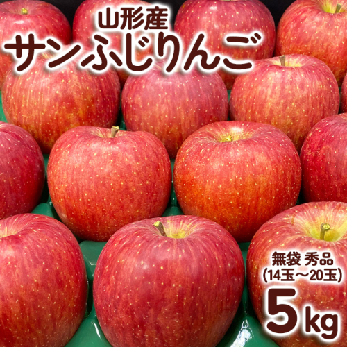 サンふじりんご 無袋 秀品5kg(14玉~20玉) FY25-902 904808 - 山形県山形市