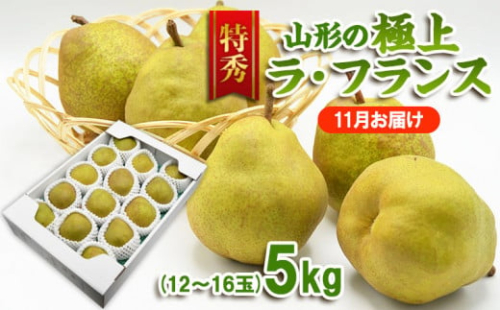【特秀】山形の極上 ラフランス 特秀品 約5kg(12～16玉)[11月お届け] FZ23-314 904945 - 山形県山形市