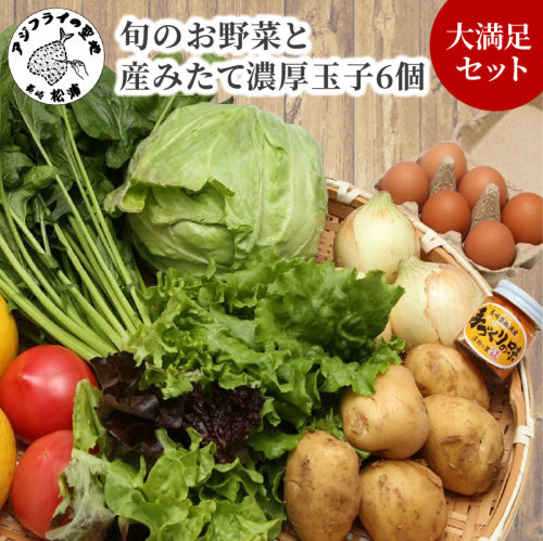 道の駅松浦海のふるさと館『旬のお野菜+産みたて濃厚玉子6個』の大満足セット!【A7-052】 9070 - 長崎県松浦市