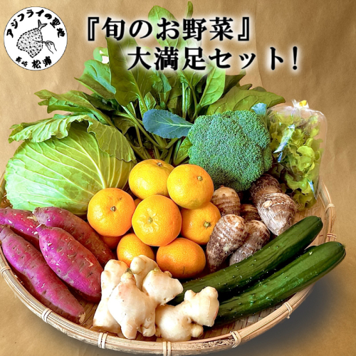道の駅松浦海のふるさと館『旬のお野菜』の大満足セット！【A8-040】 9071 - 長崎県松浦市