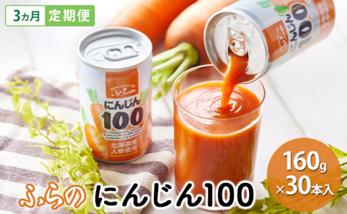 【 3ヵ月 定期便 】ふらの にんじん100 160g×30本入 野菜 ジュース (ジュース 野菜ジュース 飲み物 缶 北海道 送料無料 道産 富良野市 ふらの) 907200 - 北海道富良野市