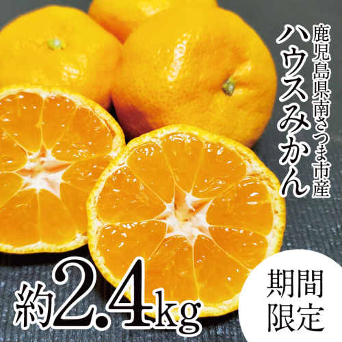 【先行受付：7月～8月発送】鹿児島県産 ハウスみかん 約2.4kg（化粧箱入り） 果物 フルーツ 柑橘 旬 みかん ハウスミカン JAさつま日置 南さつま市 911936 - 鹿児島県南さつま市
