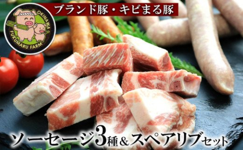 【ブランド豚・キビまる豚】ソーセージ3種&スペアリブセット 91257 - 沖縄県八重瀬町