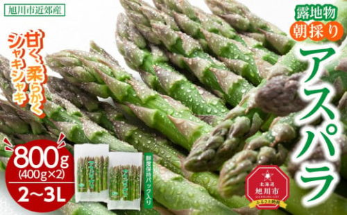 【2025年発送先行予約】露地物朝採りアスパラ 2L～3Lサイズ800g（400g×2）鮮度保持フィルム入り(2025年5月中旬発送予定) 【 アスパラ アスパラガス 朝採り とれたて 野菜 旬 小分け 保存 産直 産地直送 お取り寄せ 旭川市 北海道 】_01593
