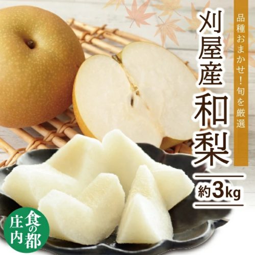 SA2576　和梨 「刈屋梨」　約3kg(8～9玉入)　品種おまかせ(幸水、豊水、南水、あきづき) 920613 - 山形県酒田市