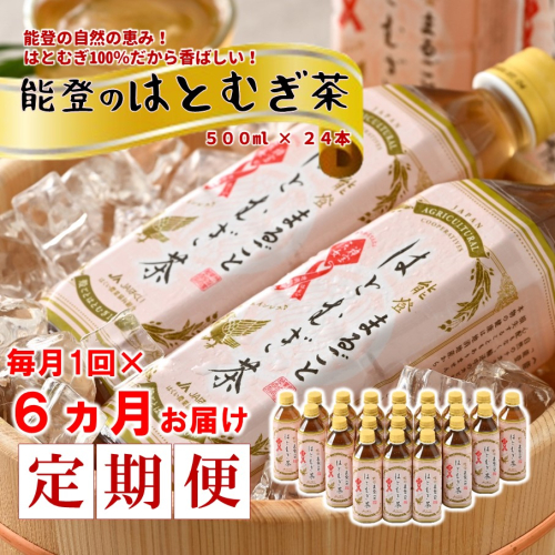 [J022]【定期便】能登のはとむぎ茶（500ml）24本セット×6回コース 922511 - 石川県羽咋市